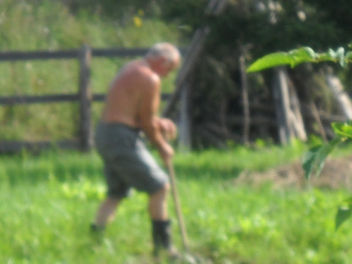 nenea Toni ....harnicul