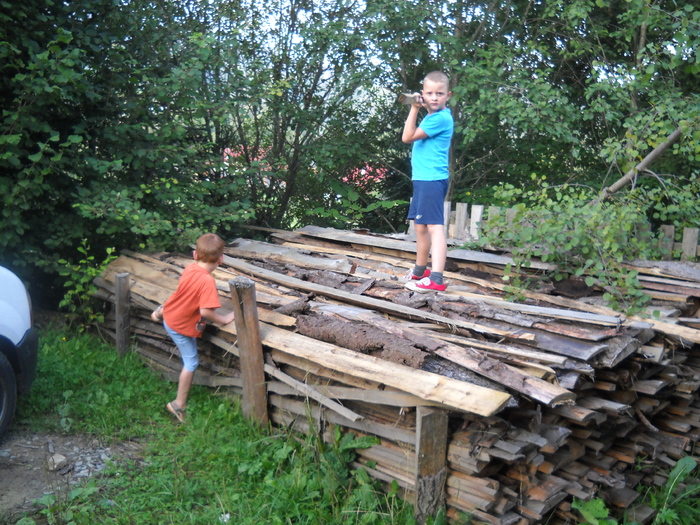 ..asa a inceput ...dezastrul.