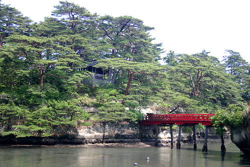 2622455122_cecef7dcd8