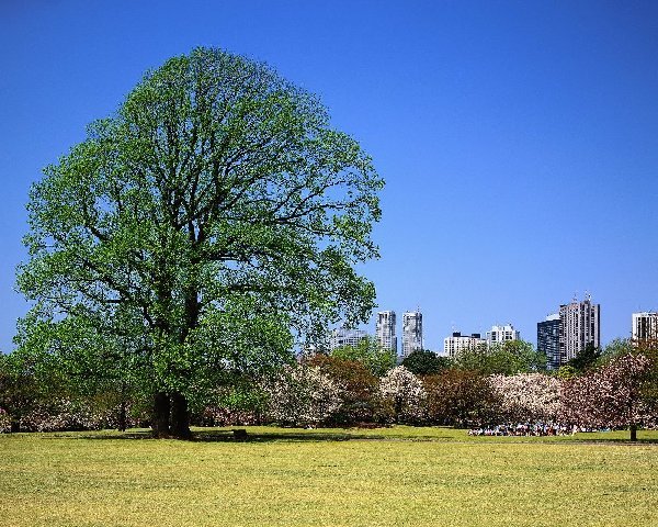 600_395f39f55e126be07903b3a6f5083b44