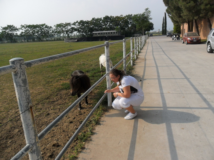 SAM_0385 - Italia