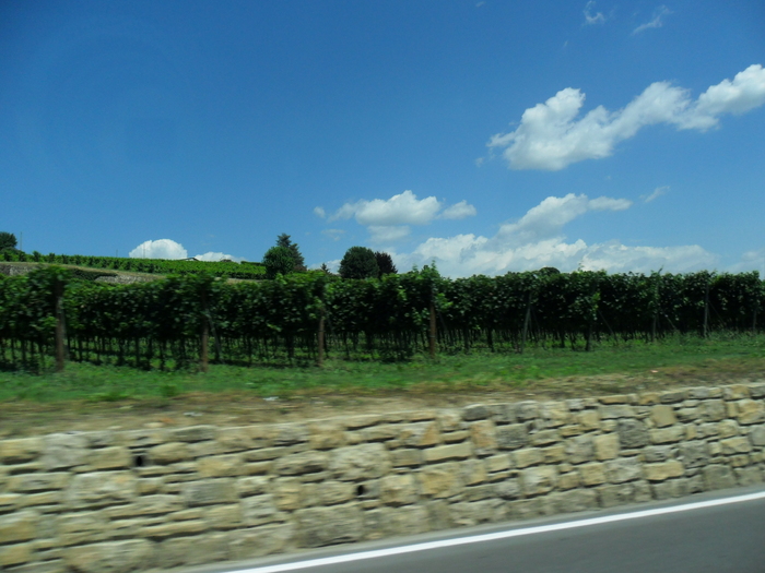 SAM_0497 - Italia