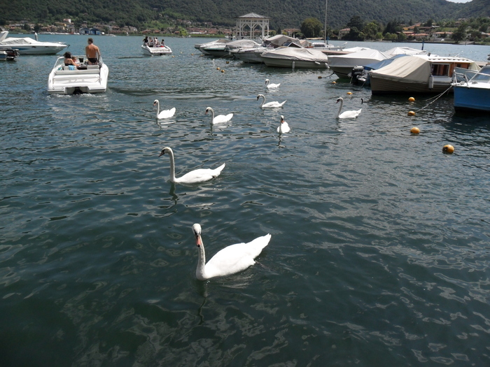 SAM_0504 - Italia