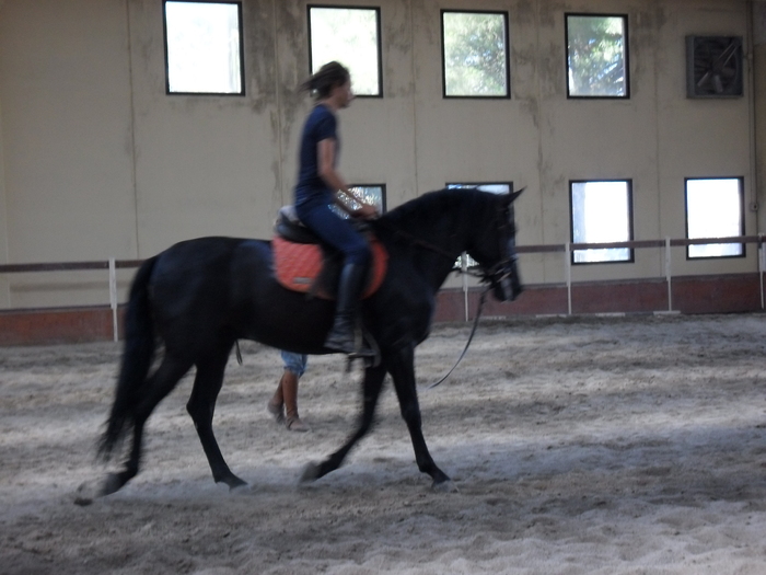 SAM_0674