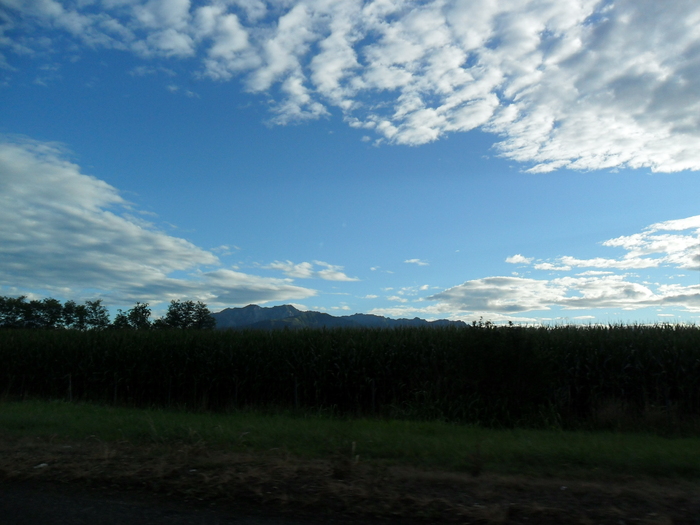 SAM_0726
