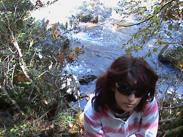 DSC00058 - pirinei sp