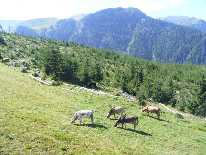 DSCF3003 - tura Rodnei