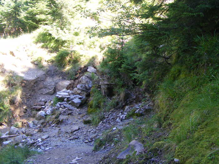 DSCF3140 - tura Rodnei