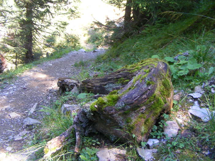 DSCF3143 - tura Rodnei