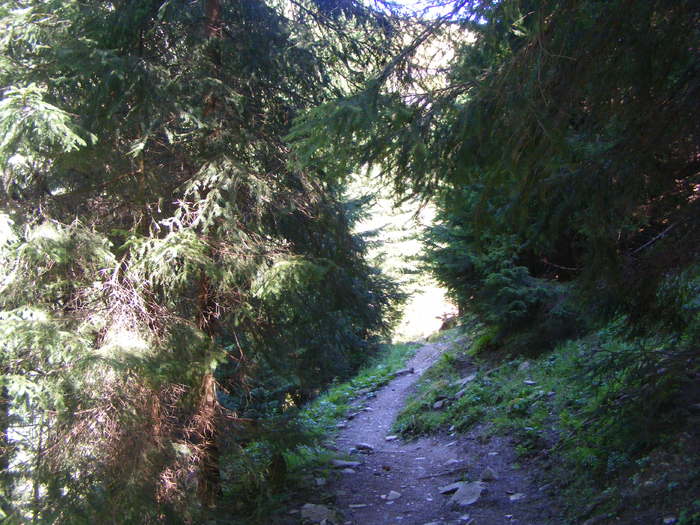 DSCF3147 - tura Rodnei