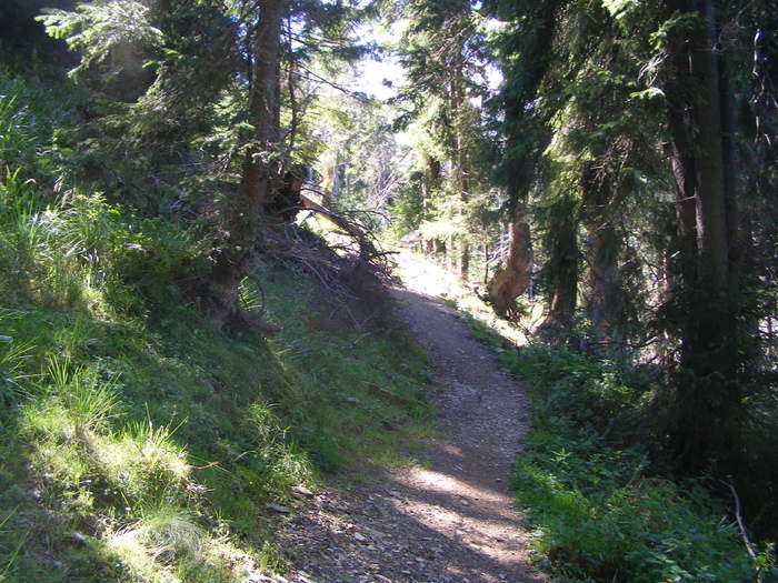 DSCF3149 - tura Rodnei