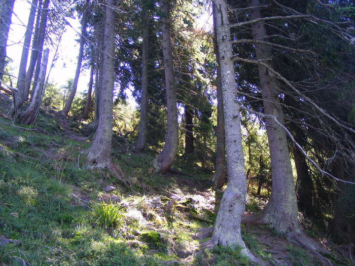 DSCF3151 - tura Rodnei