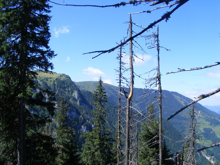 DSCF3152 - tura Rodnei