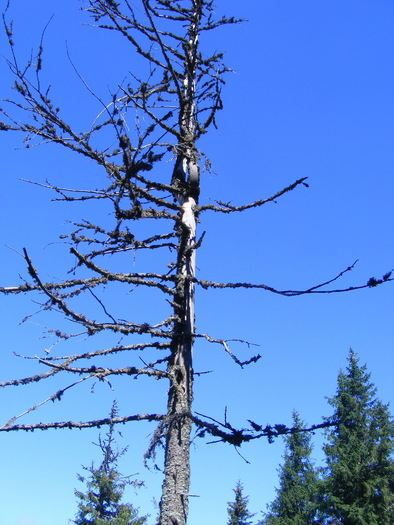 DSCF3154 - tura Rodnei