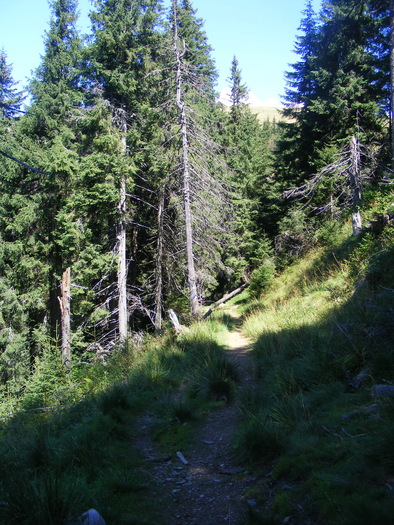 DSCF3155 - tura Rodnei