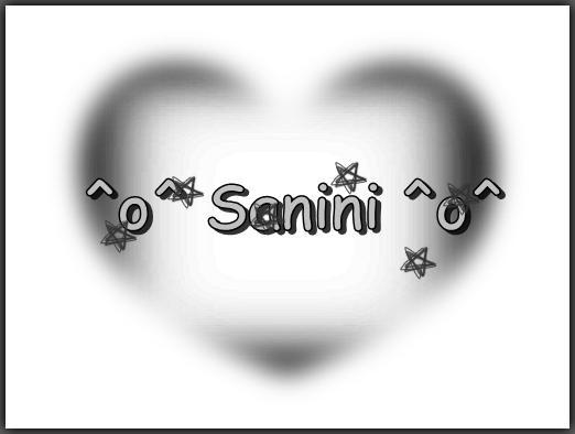  - Sanini
