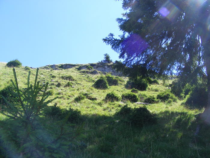 DSCF3194 - tura Rodnei