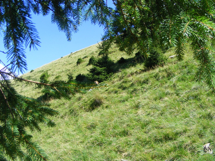 DSCF3195 - tura Rodnei