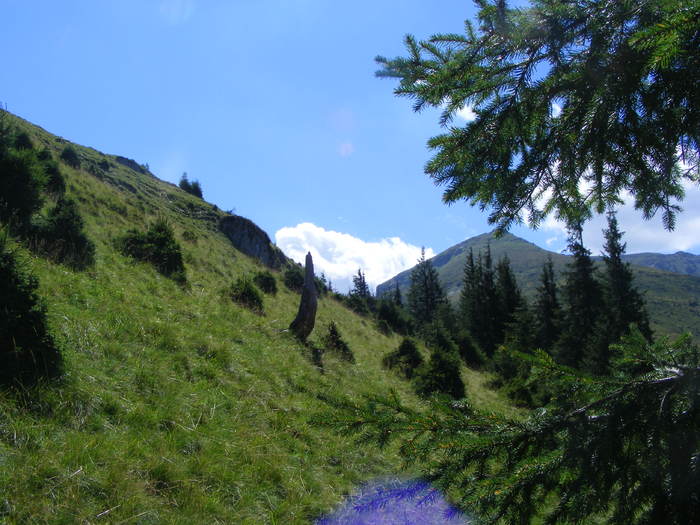 DSCF3196 - tura Rodnei