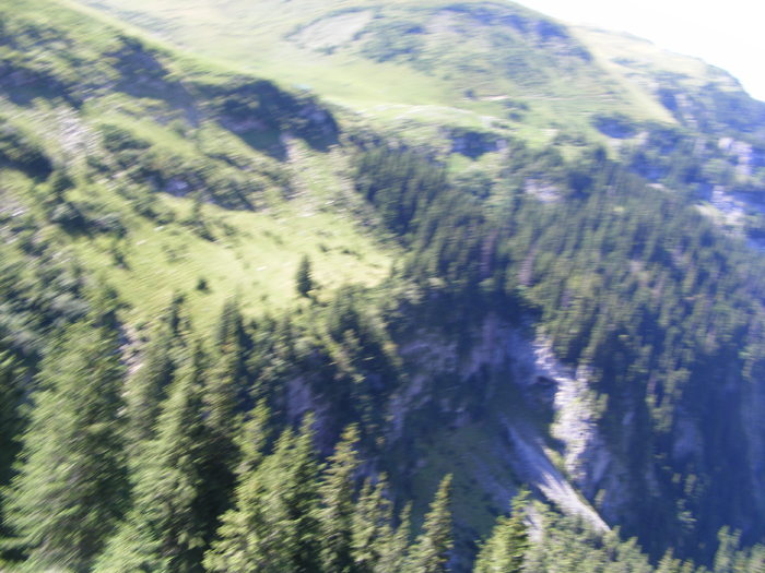 DSCF3212