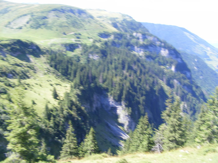 DSCF3216