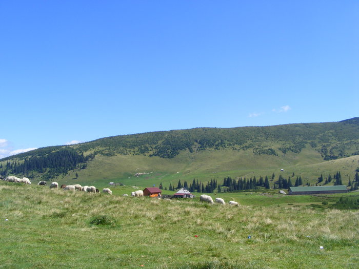 DSCF3231 - tura Rodnei