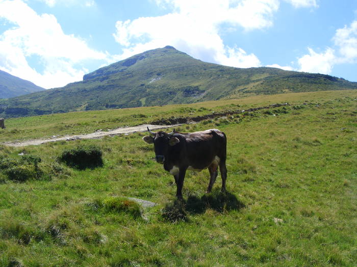 DSCF3237 - tura Rodnei