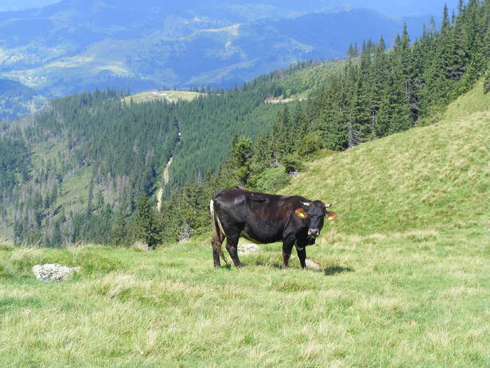 DSCF3238 - tura Rodnei