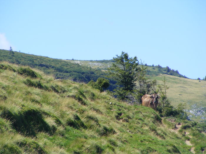 DSCF3239 - tura Rodnei