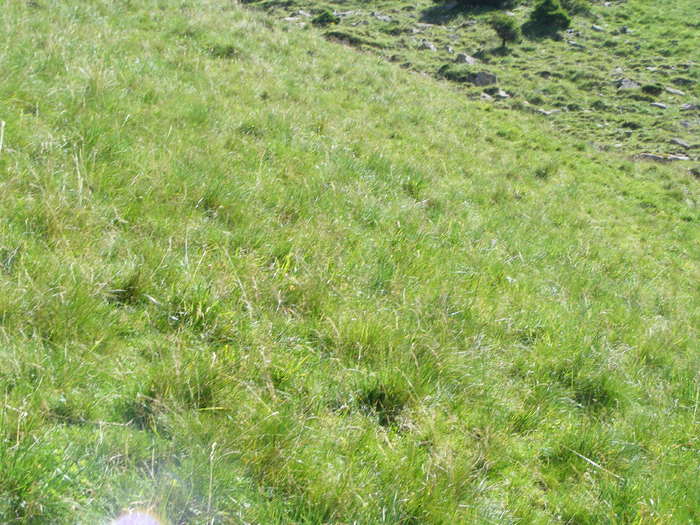 DSCF3258 - tura Rodnei