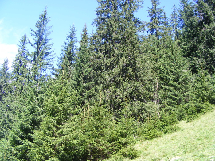 DSCF3290 - tura Rodnei