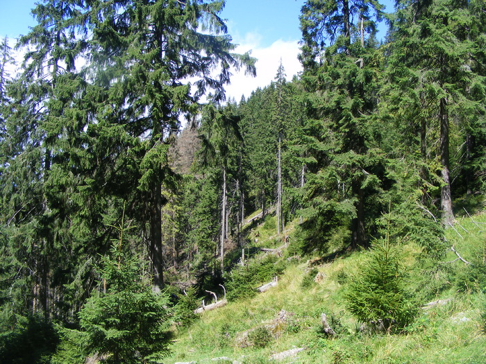 DSCF3292 - tura Rodnei