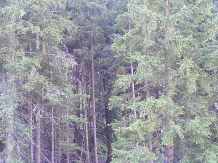 DSCF3300 - tura Rodnei