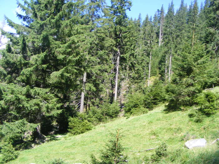 DSCF3301 - tura Rodnei