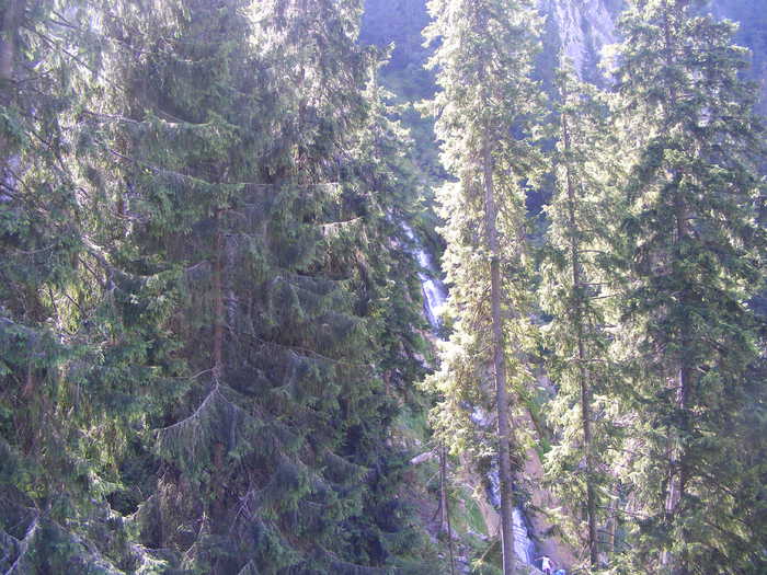 DSCF3307 - tura Rodnei