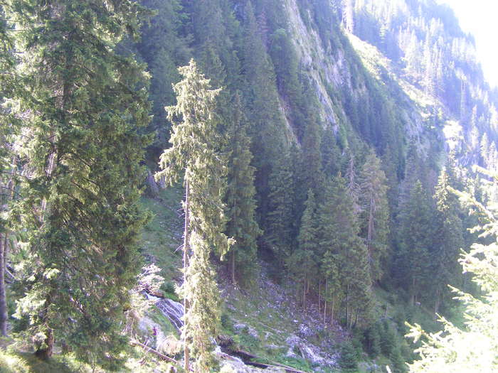 DSCF3309 - tura Rodnei