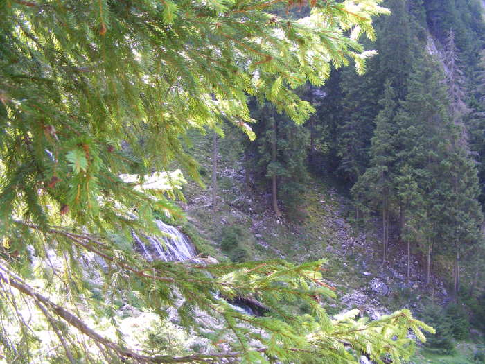 DSCF3314 - tura Rodnei