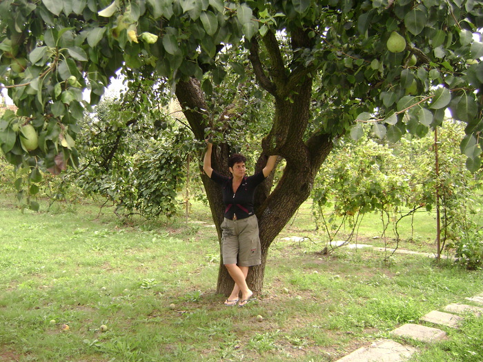 m-as catara dupa o para