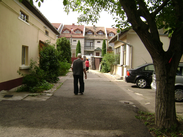 domnii patroni se duc sa vada...