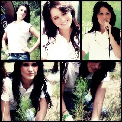 8824_1069738923472_1826079158_144732_3168877_n