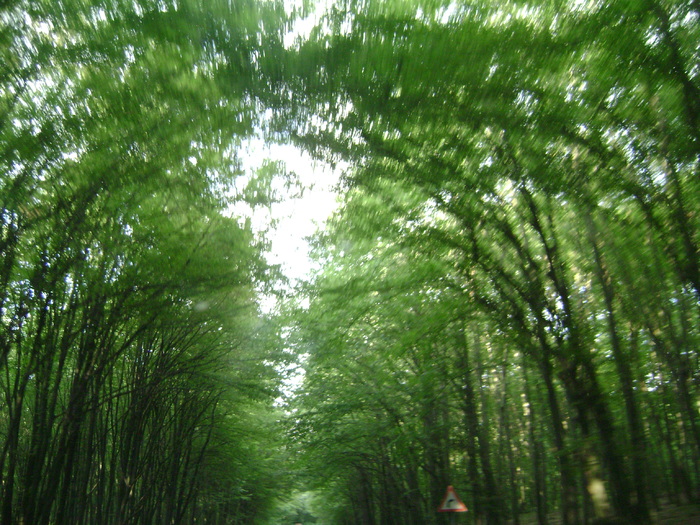 bolta - la neamuri in S-M