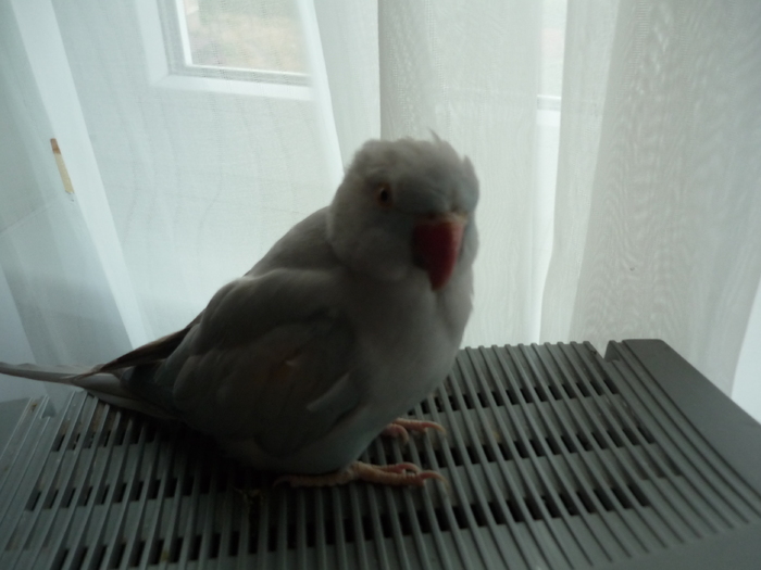 P1020805
