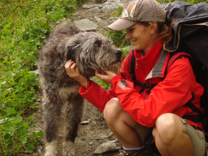 Amic fagarasean - FAGARAS 2010