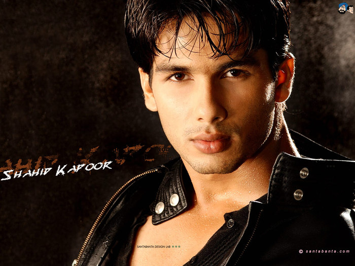 wallpaper 27 - SHAHID KAPOOR