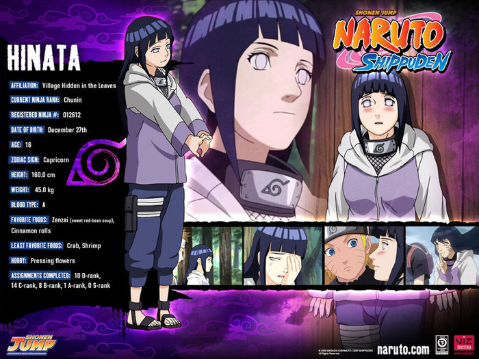 hinata-s-profile-wallpaper-naruto-shippuuden-9312361-800-600[1] - Biografii Naruto