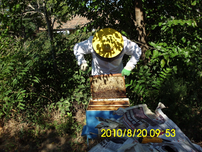 IMG_0668 - apicultura