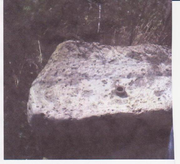 Picture 023