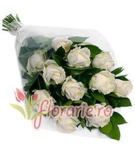img_floare.php - Trandafirii Albi