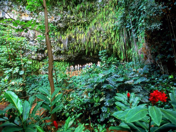 Fern Grotto, Kauai, Hawaii pictures