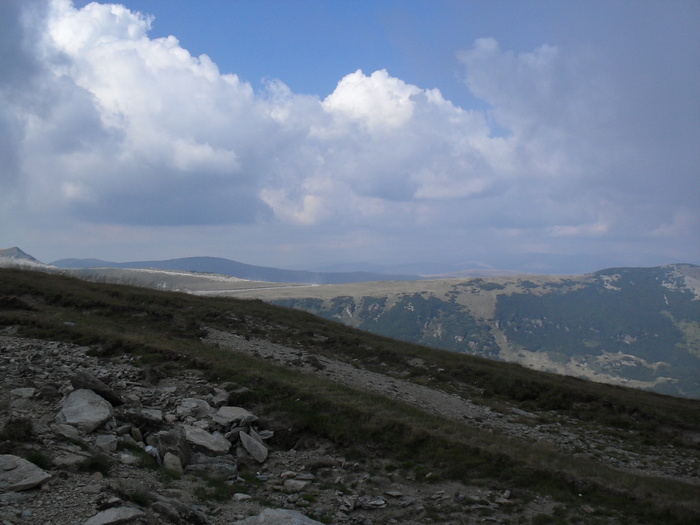 TRANSALPINA